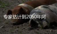 专家估计到2050年阿尔卑斯山冰川或只剩一半